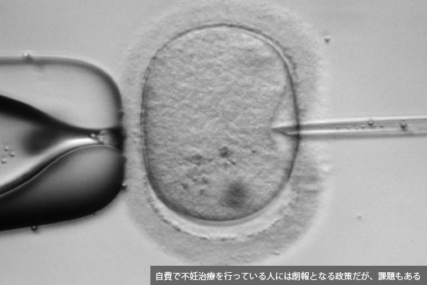 保険適用に馴染まない オーダーメイド の不妊治療 集中出版